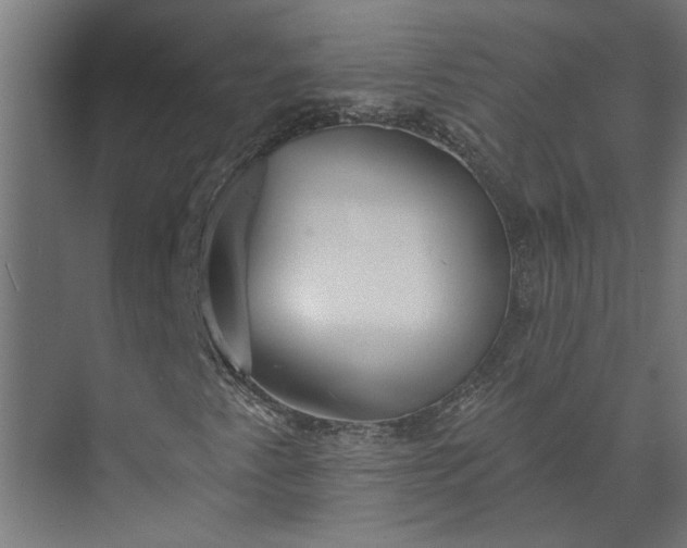 X0000073931345200608251605