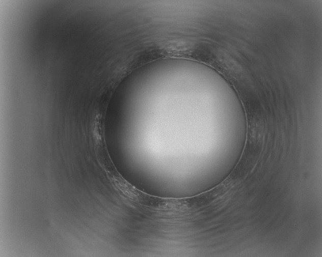 X0000073931346200608251605