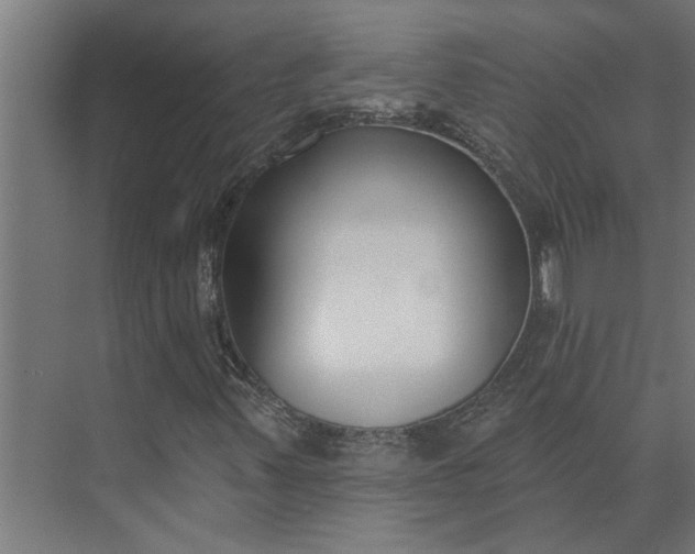 X0000073931347200608251605