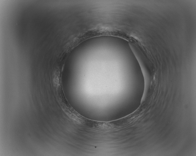 X0000073931348200608251605