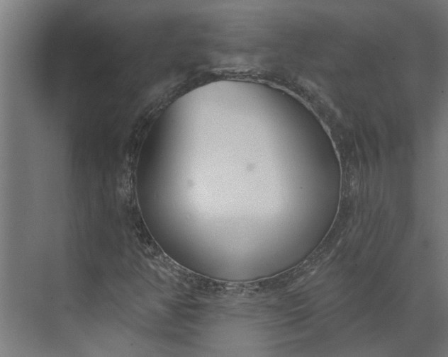 X0000073931350200608251604