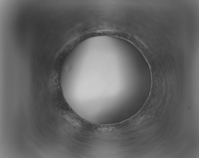 X0000073931351200608251604