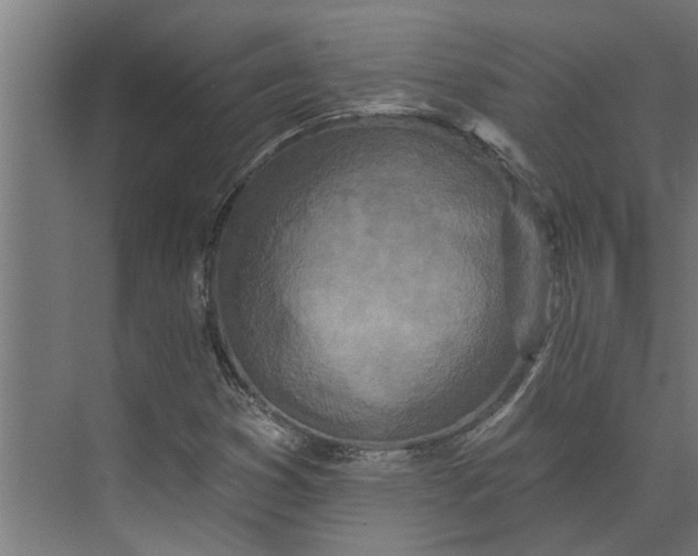 X0000073931353200608251604