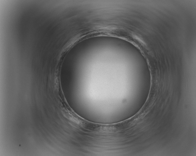 X0000073931354200608251604