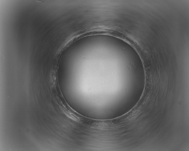 X0000073931355200608251604