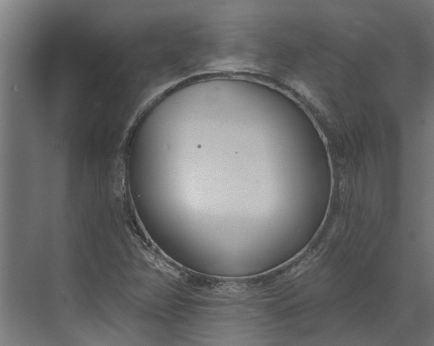 X0000073931358200608251604