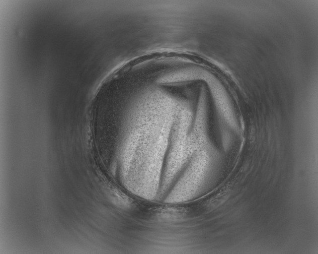 X0000073931359200608251604