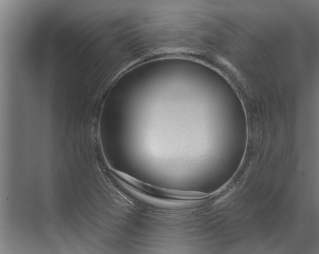 X0000073931361200608251604