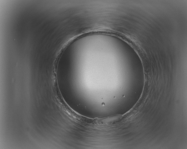 X0000073931363200608251604