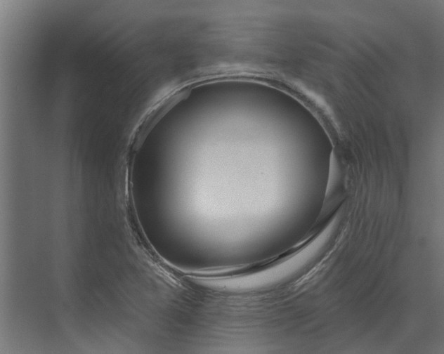 X0000073931365200608251604