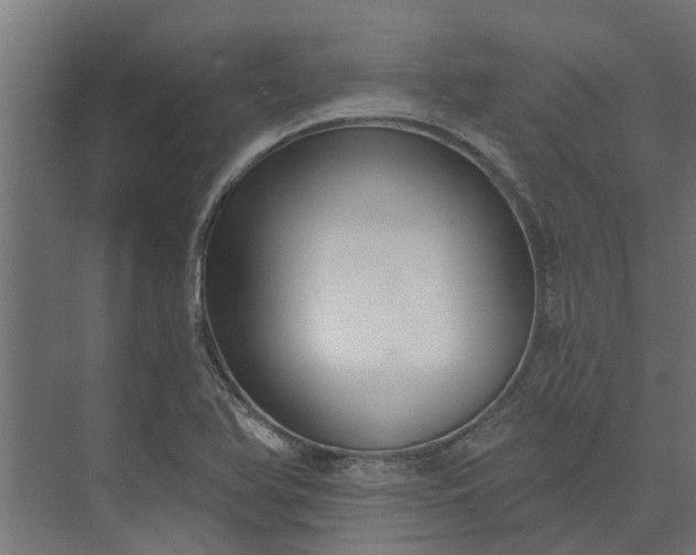 X0000073931366200608251604