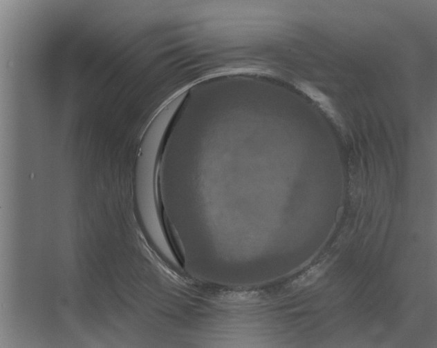 X0000073931369200608251604