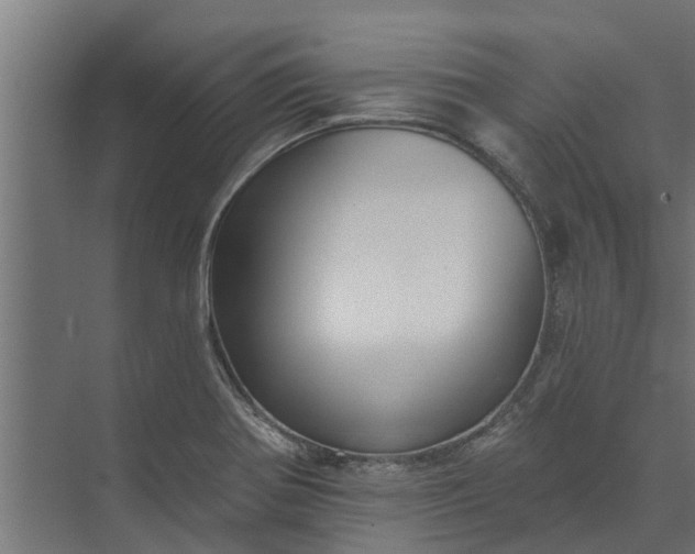 X0000073931370200608251604