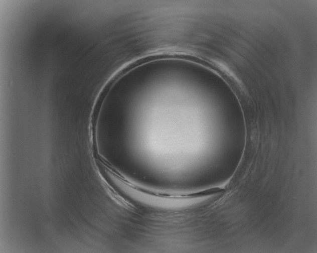 X0000073931372200608251604