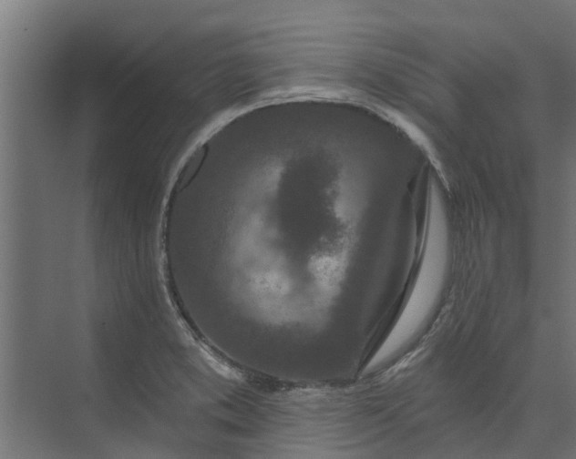 X0000073931373200608251604