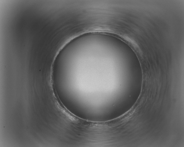 X0000073931374200608251604