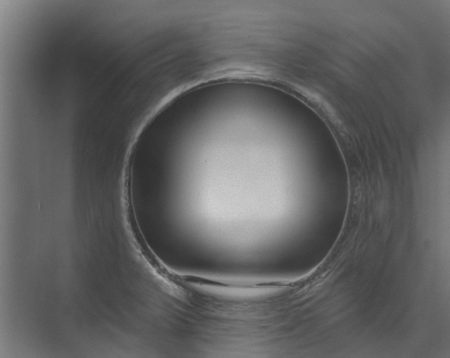 X0000073931375200608251604