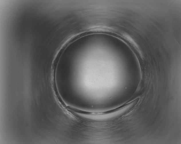 X0000073931376200608251604