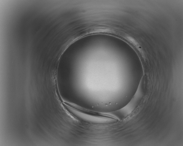 X0000073931377200608251604