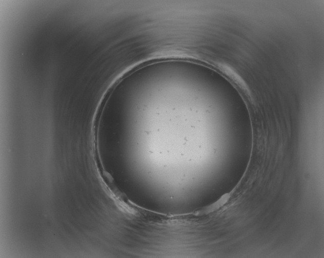 X0000073931380200608251604