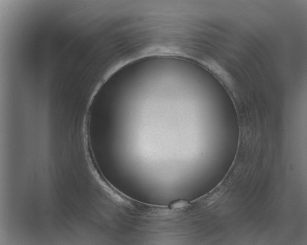 X0000073931382200608251604