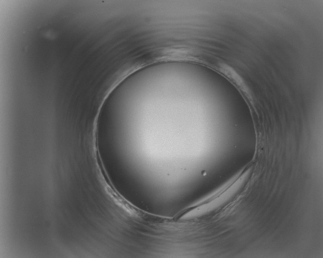 X0000073931386200608251604