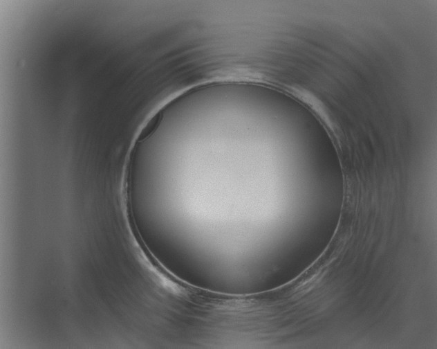 X0000073931387200608251604