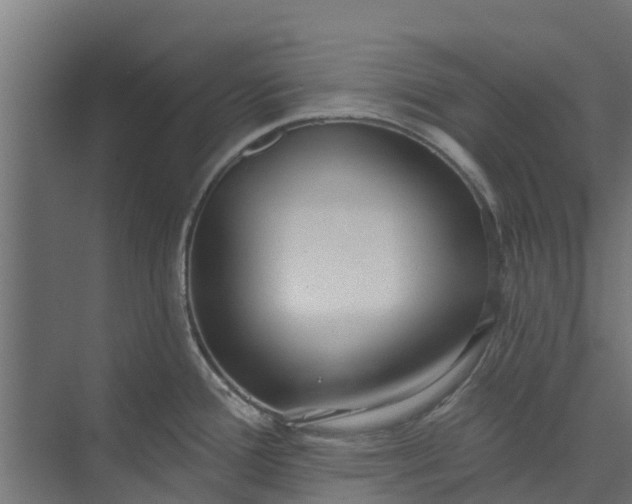 X0000073931388200608251604