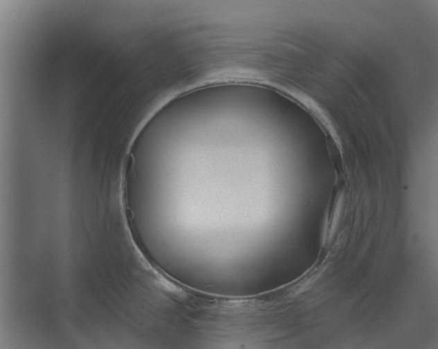 X0000073931390200608251604