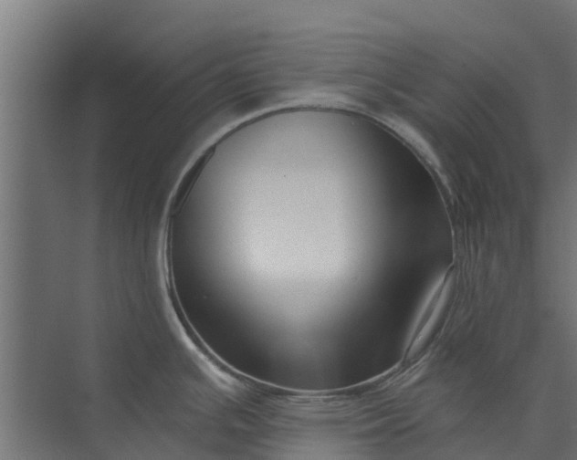 X0000073931391200608251604