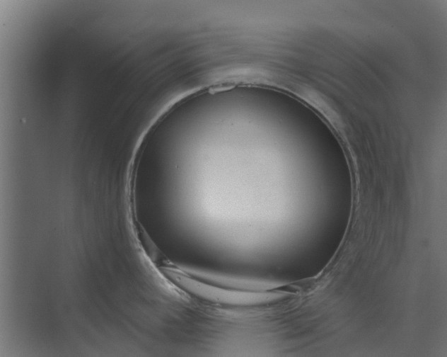 X0000073931392200608251604