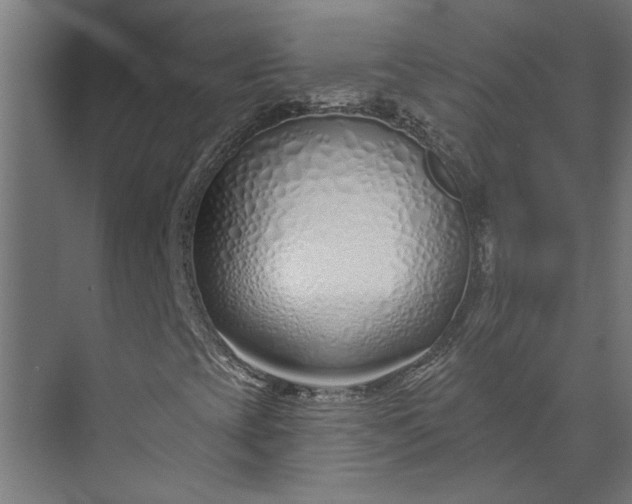 X0000073931393200608251603