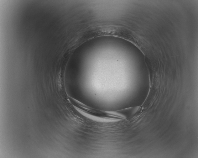 X0000073931394200608251603