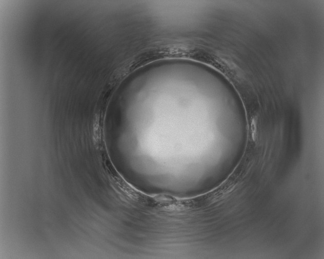 X0000073931395200608251603