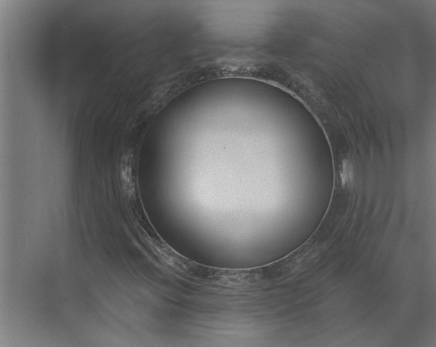 X0000073931396200608251603