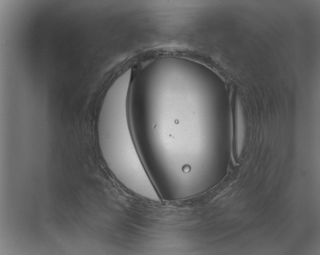 X0000073931398200608251603