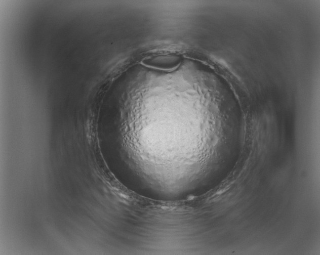 X0000073931399200608251603