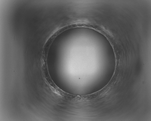 X0000073931400200608251603