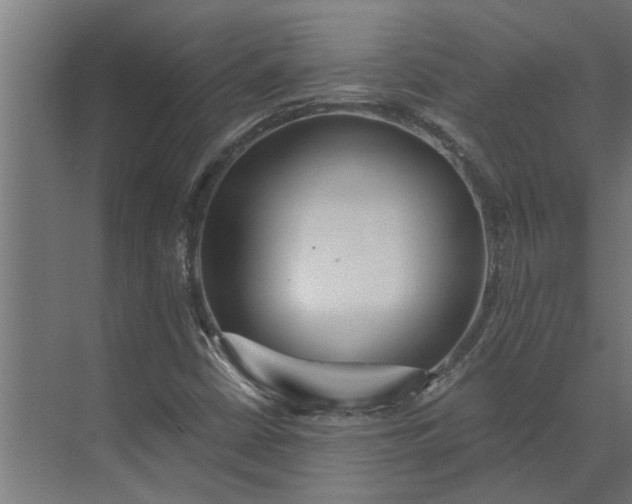 X0000073931402200608251603