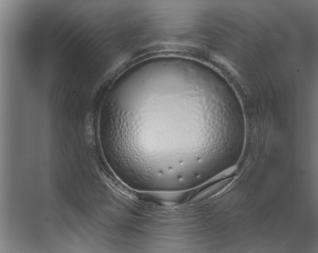 X0000073931403200608251603