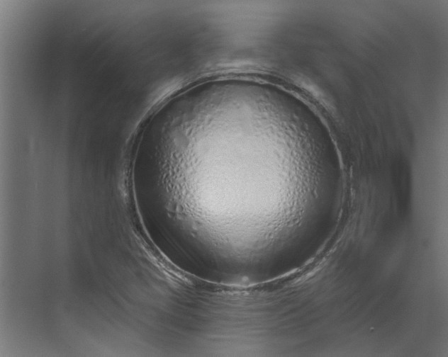 X0000073931405200608251603