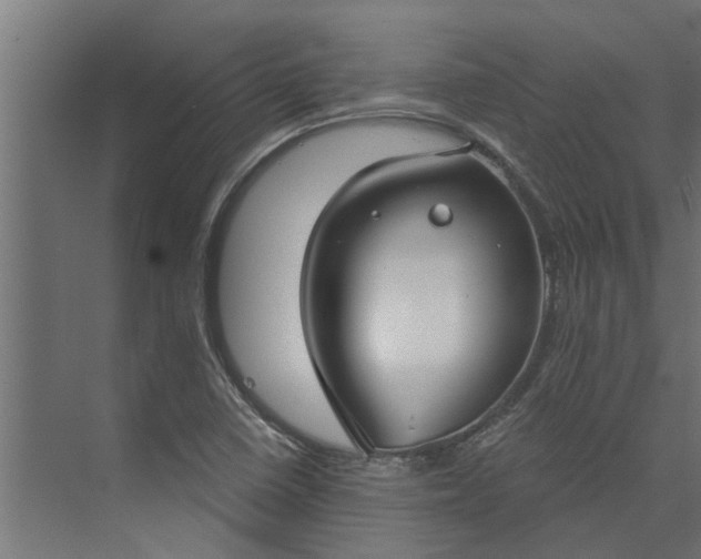 X0000073931410200608251603