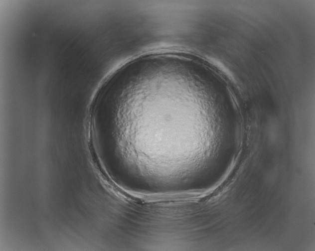 X0000073931413200608251603