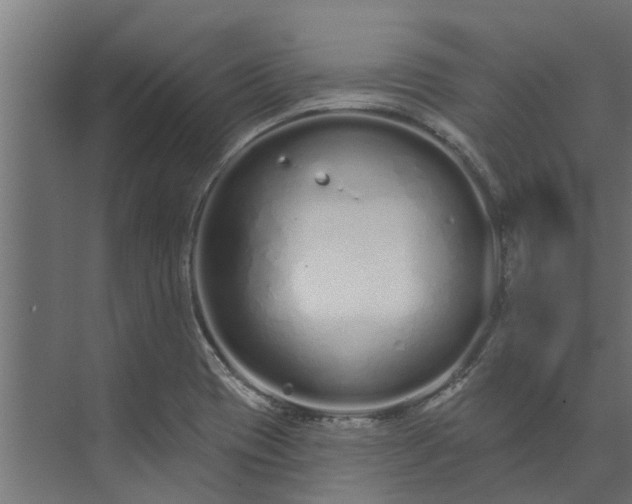 X0000073931417200608251603