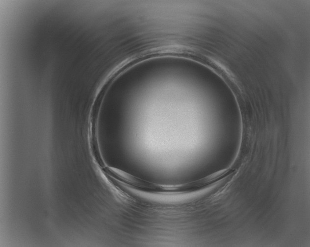 X0000073931418200608251603