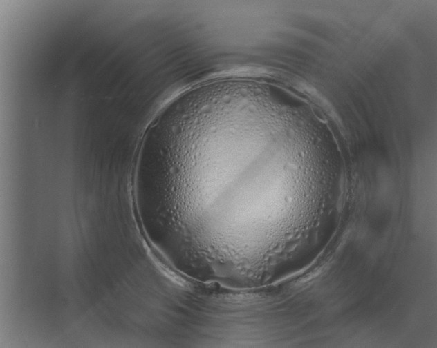 X0000073931425200608251604