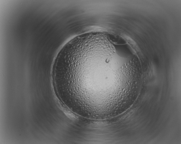 X0000073931427200608251604