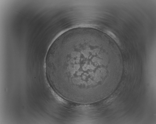 X0000073931428200608251604