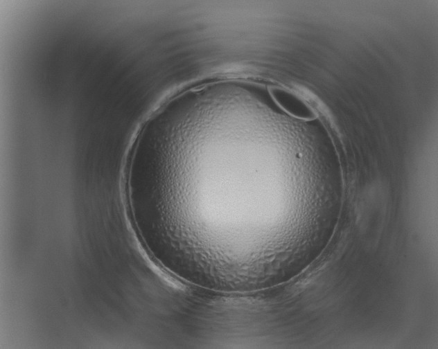 X0000073931429200608251604