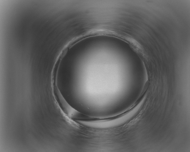 X0000073931430200608251604